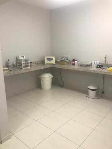 Alugar Casa / Padr&atilde;o em S&atilde;o Jos&eacute; do Rio Preto R$ 2.500,00 - Foto 9