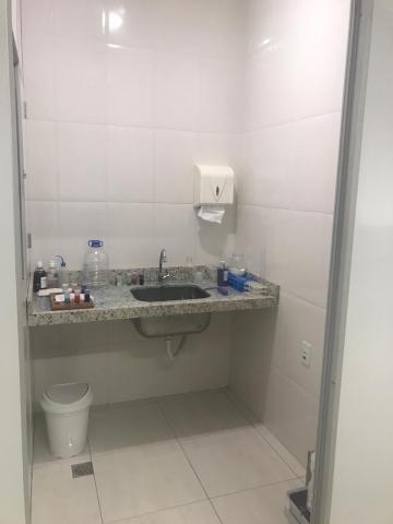 Alugar Casa / Padr&atilde;o em S&atilde;o Jos&eacute; do Rio Preto R$ 2.500,00 - Foto 13
