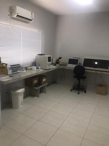 Alugar Casa / Padr&atilde;o em S&atilde;o Jos&eacute; do Rio Preto R$ 2.500,00 - Foto 18