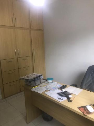 Alugar Casa / Padr&atilde;o em S&atilde;o Jos&eacute; do Rio Preto R$ 2.500,00 - Foto 19