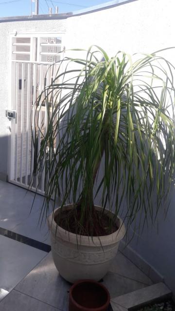 Comprar Casa / Padr&atilde;o em Mirassol R$ 450.000,00 - Foto 3