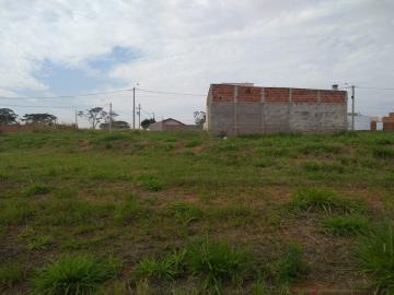 Comprar Terreno / Padr&atilde;o em Bady Bassitt R$ 60.000,00 - Foto 2