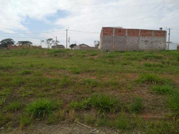 Comprar Terreno / Padr&atilde;o em Bady Bassitt R$ 60.000,00 - Foto 3
