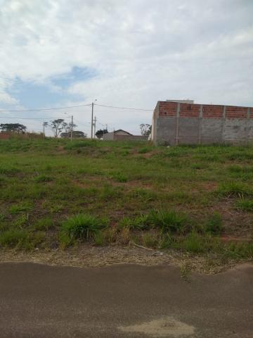 Comprar Terreno / Padr&atilde;o em Bady Bassitt R$ 60.000,00 - Foto 4