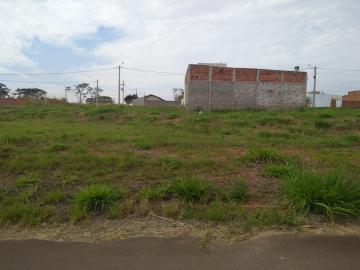 Comprar Terreno / Padr&atilde;o em Bady Bassitt R$ 60.000,00 - Foto 5