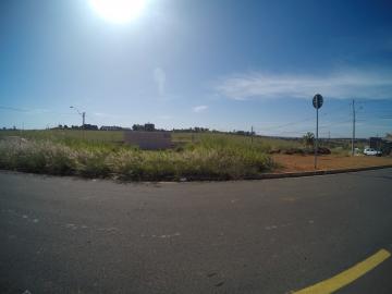Alugar Terreno / Padr&atilde;o em S&atilde;o Jos&eacute; do Rio Preto. apenas R$ 145.000,00