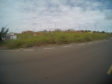 Alugar Terreno / Padr&atilde;o em S&atilde;o Jos&eacute; do Rio Preto. apenas R$ 235.000,00
