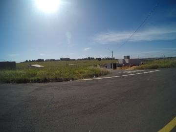 Alugar Terreno / Padr&atilde;o em S&atilde;o Jos&eacute; do Rio Preto. apenas R$ 145.000,00