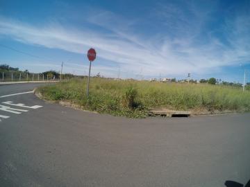 Alugar Terreno / Padr&atilde;o em S&atilde;o Jos&eacute; do Rio Preto. apenas R$ 190.000,00