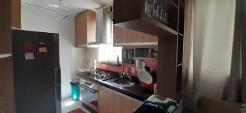Alugar Apartamento / Padr&atilde;o em S&atilde;o Jos&eacute; do Rio Preto. apenas R$ 180.000,00