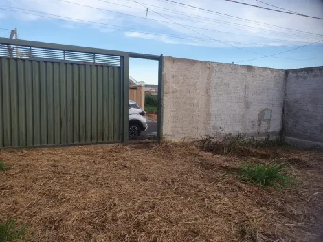 Comprar Terreno / Padr&atilde;o em S&atilde;o Jos&eacute; do Rio Preto R$ 140.000,00 - Foto 4