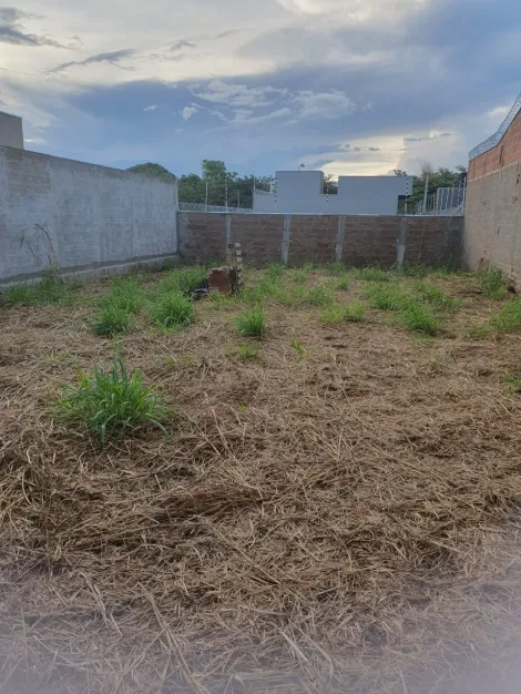 Comprar Terreno / Padr&atilde;o em S&atilde;o Jos&eacute; do Rio Preto R$ 140.000,00 - Foto 3