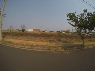 Alugar Terreno / Padr&atilde;o em S&atilde;o Jos&eacute; do Rio Preto. apenas R$ 150.000,00