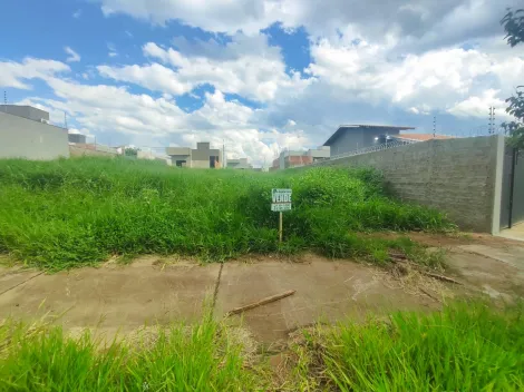Comprar Terreno / Padr&atilde;o em S&atilde;o Jos&eacute; do Rio Preto R$ 119.000,00 - Foto 3