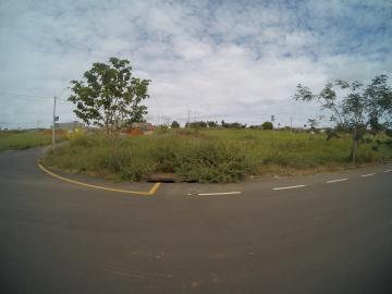 Comprar Terreno / &Aacute;rea em S&atilde;o Jos&eacute; do Rio Preto R$ 800.000,00 - Foto 28