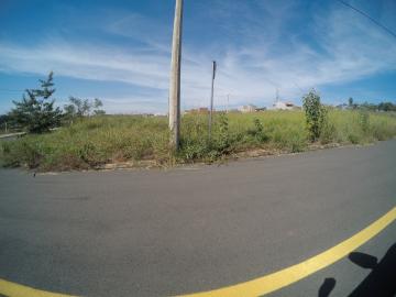 Alugar Terreno / &Aacute;rea em S&atilde;o Jos&eacute; do Rio Preto. apenas R$ 800.000,00