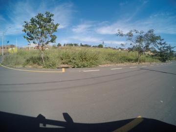 Comprar Terreno / &Aacute;rea em S&atilde;o Jos&eacute; do Rio Preto R$ 800.000,00 - Foto 3