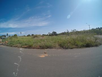 Comprar Terreno / &Aacute;rea em S&atilde;o Jos&eacute; do Rio Preto R$ 800.000,00 - Foto 4