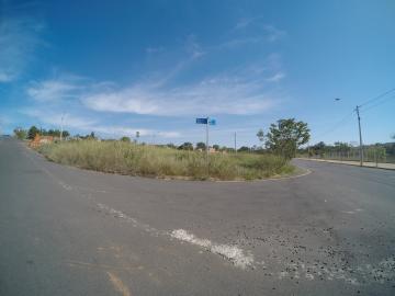 Comprar Terreno / &Aacute;rea em S&atilde;o Jos&eacute; do Rio Preto R$ 800.000,00 - Foto 5