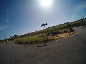 Comprar Terreno / &Aacute;rea em S&atilde;o Jos&eacute; do Rio Preto R$ 800.000,00 - Foto 8