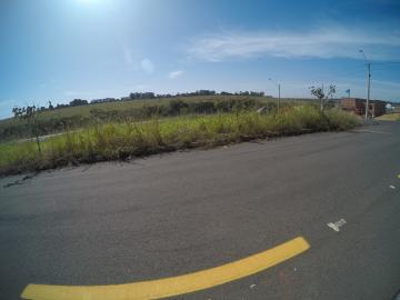 Comprar Terreno / &Aacute;rea em S&atilde;o Jos&eacute; do Rio Preto R$ 800.000,00 - Foto 10