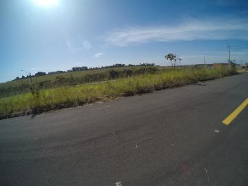 Comprar Terreno / &Aacute;rea em S&atilde;o Jos&eacute; do Rio Preto R$ 800.000,00 - Foto 11