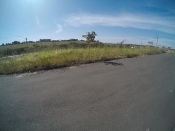 Comprar Terreno / &Aacute;rea em S&atilde;o Jos&eacute; do Rio Preto R$ 800.000,00 - Foto 12