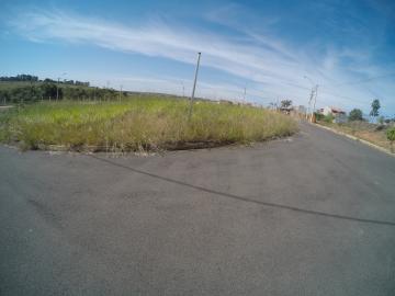 Comprar Terreno / &Aacute;rea em S&atilde;o Jos&eacute; do Rio Preto R$ 800.000,00 - Foto 14