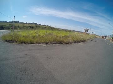 Comprar Terreno / &Aacute;rea em S&atilde;o Jos&eacute; do Rio Preto R$ 800.000,00 - Foto 15