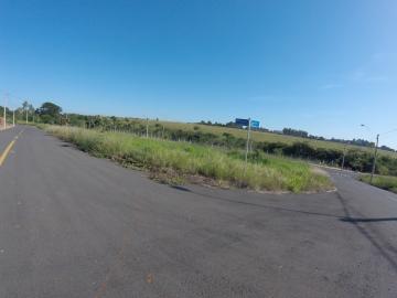 Comprar Terreno / &Aacute;rea em S&atilde;o Jos&eacute; do Rio Preto R$ 800.000,00 - Foto 31