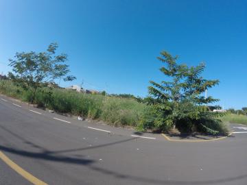 Comprar Terreno / &Aacute;rea em S&atilde;o Jos&eacute; do Rio Preto R$ 800.000,00 - Foto 33
