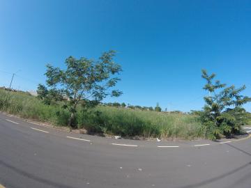 Comprar Terreno / &Aacute;rea em S&atilde;o Jos&eacute; do Rio Preto R$ 800.000,00 - Foto 18