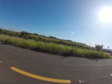Comprar Terreno / &Aacute;rea em S&atilde;o Jos&eacute; do Rio Preto R$ 800.000,00 - Foto 20
