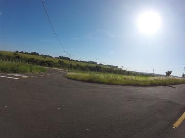 Comprar Terreno / &Aacute;rea em S&atilde;o Jos&eacute; do Rio Preto R$ 800.000,00 - Foto 23