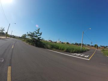 Comprar Terreno / &Aacute;rea em S&atilde;o Jos&eacute; do Rio Preto R$ 800.000,00 - Foto 24