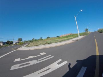 Comprar Terreno / Padr&atilde;o em S&atilde;o Jos&eacute; do Rio Preto R$ 620.000,00 - Foto 13