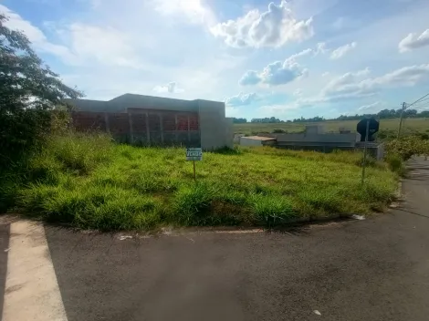 Comprar Terreno / Padr&atilde;o em S&atilde;o Jos&eacute; do Rio Preto R$ 150.000,00 - Foto 8