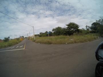 Alugar Terreno / Padr&atilde;o em S&atilde;o Jos&eacute; do Rio Preto. apenas R$ 260.000,00