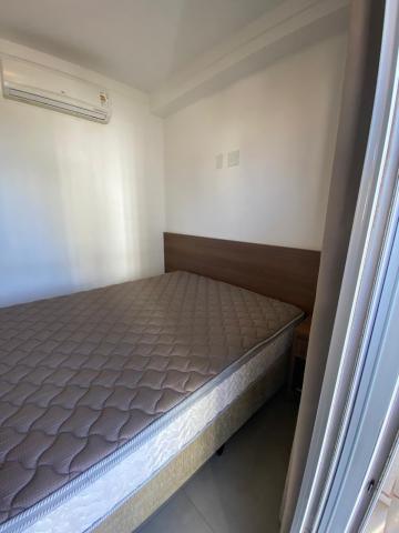 Alugar Apartamento / Studio em S&atilde;o Jos&eacute; do Rio Preto R$ 2.000,00 - Foto 7