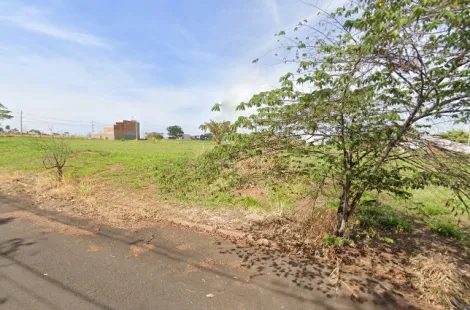 Alugar Terreno / Padr&atilde;o em Bady Bassitt. apenas R$ 103.000,00