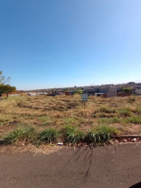 Comprar Terreno / Padr&atilde;o em Bady Bassitt R$ 99.000,00 - Foto 2