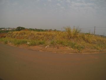Alugar Terreno / Padr&atilde;o em Bady Bassitt. apenas R$ 69.000,00