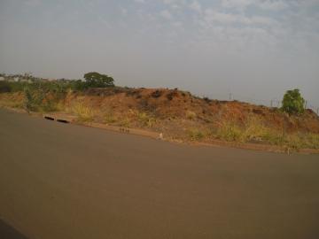 Terreno / Padr&atilde;o em Bady Bassitt 