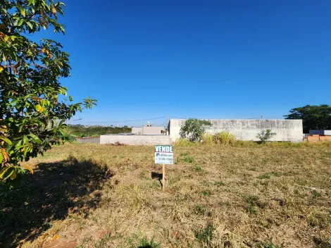 Alugar Terreno / Padr&atilde;o em Bady Bassitt. apenas R$ 69.000,00