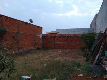 Comprar Casa / Padr&atilde;o em S&atilde;o Jos&eacute; do Rio Preto R$ 300.000,00 - Foto 7