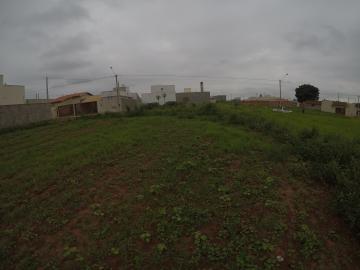 Alugar Terreno / Padr&atilde;o em Bady Bassitt. apenas R$ 98.000,00