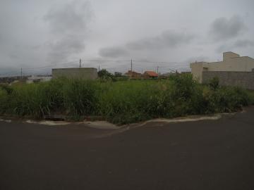 Comprar Terreno / Padr&atilde;o em Bady Bassitt R$ 98.000,00 - Foto 2