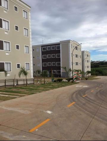 Alugar Apartamento / Padr&atilde;o em S&atilde;o Jos&eacute; do Rio Preto R$ 800,00 - Foto 9