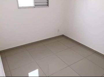 Alugar Apartamento / Padr&atilde;o em S&atilde;o Jos&eacute; do Rio Preto R$ 800,00 - Foto 5