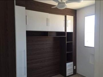 Alugar Apartamento / Padr&atilde;o em S&atilde;o Jos&eacute; do Rio Preto R$ 800,00 - Foto 7